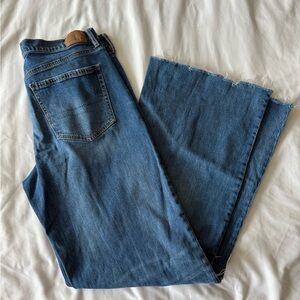 American Eagle Outfitters Low-Rise Baggy Flare Jeans